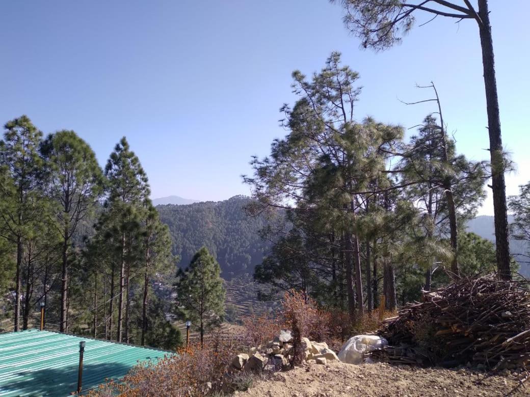Nature Villaas Basa Homestay Pauri Bagian luar foto
