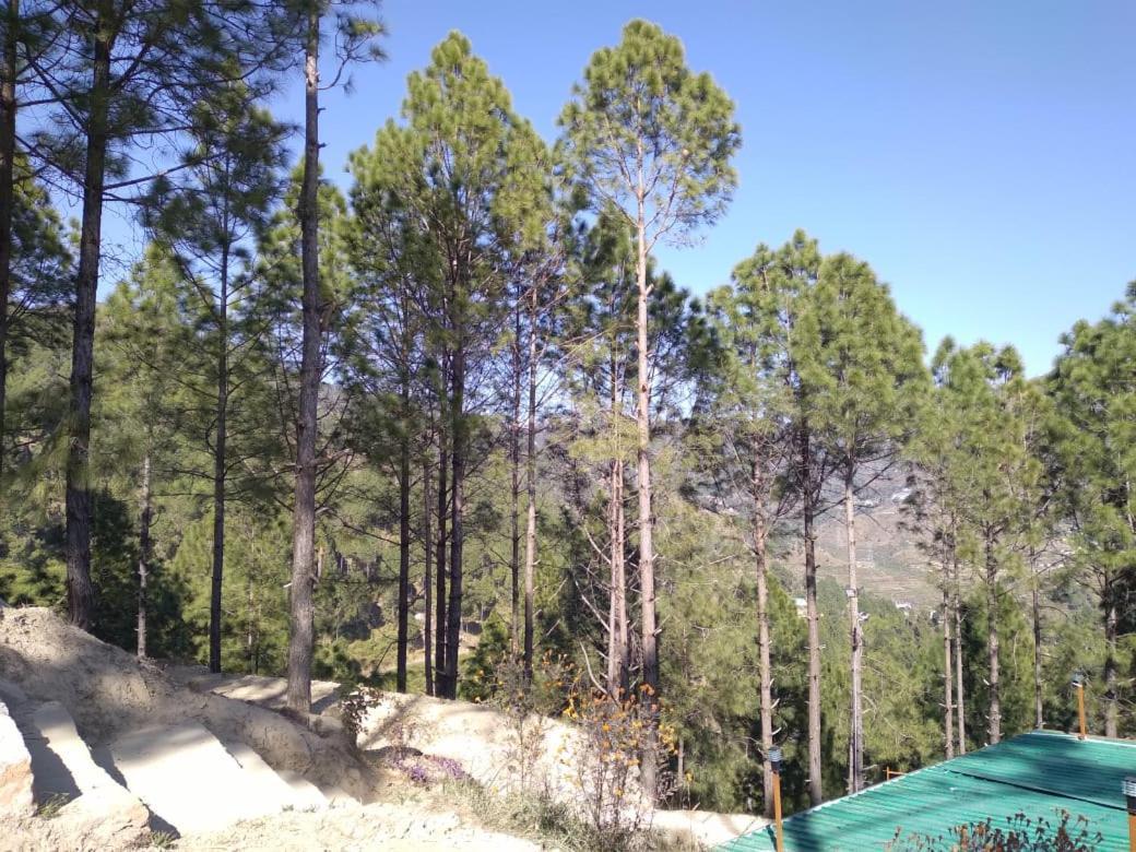 Nature Villaas Basa Homestay Pauri Bagian luar foto