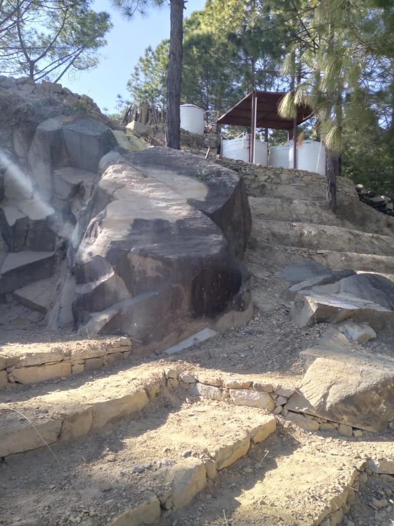 Nature Villaas Basa Homestay Pauri Bagian luar foto