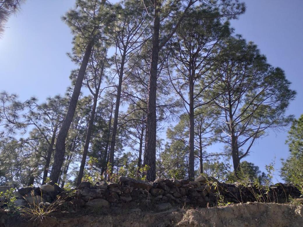 Nature Villaas Basa Homestay Pauri Bagian luar foto
