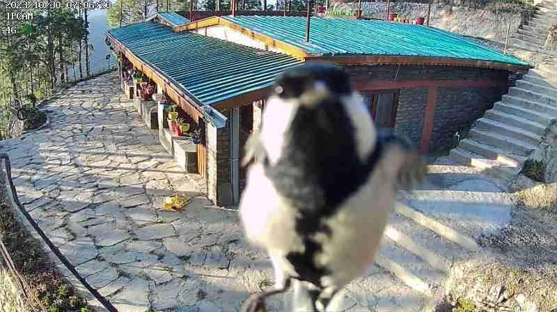 Nature Villaas Basa Homestay Pauri Bagian luar foto